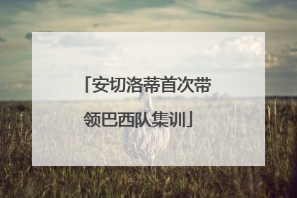 安切洛蒂首次带领巴西队集训