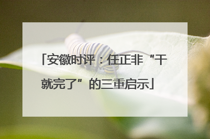 安徽时评：任正非“干就完了”的三重启示