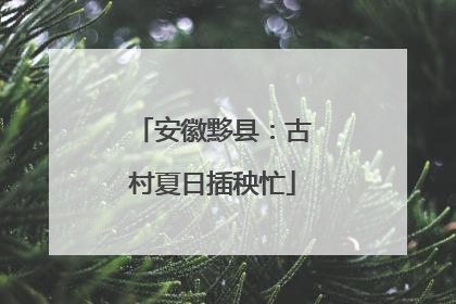 安徽黟县：古村夏日插秧忙