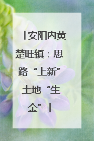 安阳内黄楚旺镇：思路“上新” 土地“生金”