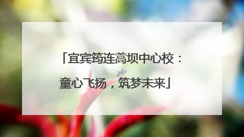 宜宾筠连蒿坝中心校：童心飞扬，筑梦未来