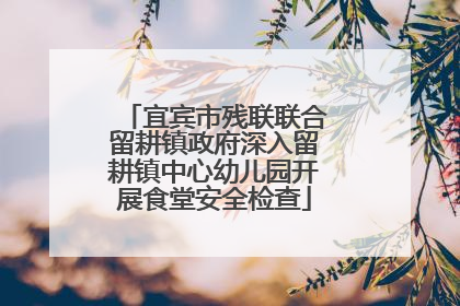 宜宾市残联联合留耕镇政府深入留耕镇中心幼儿园开展食堂安全检查