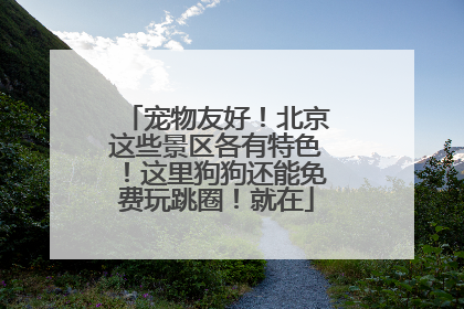 宠物友好！北京这些景区各有特色！这里狗狗还能免费玩跳圈！就在