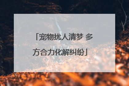 宠物扰人清梦 多方合力化解纠纷