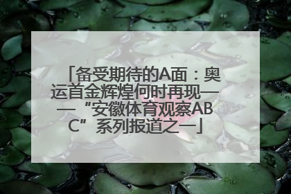 备受期待的A面：奥运首金辉煌何时再现——“安徽体育观察ABC”系列报道之一
