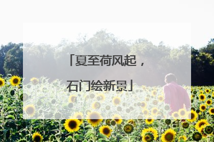 夏至荷风起，石门绘新景