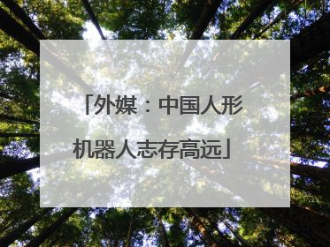 外媒：中国人形机器人志存高远