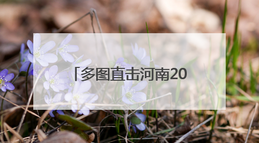 多图直击河南2025年新高考｜红衣旗袍送祝福 鲜花葵花助梦圆——尉氏县高考暖心送考