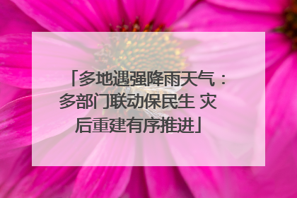 多地遇强降雨天气：多部门联动保民生 灾后重建有序推进