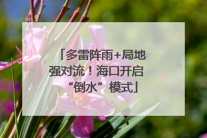多雷阵雨+局地强对流！海口开启“倒水”模式