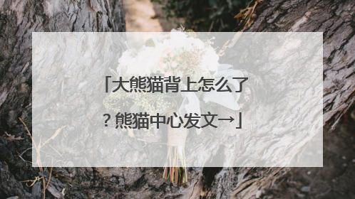 大熊猫背上怎么了？熊猫中心发文→