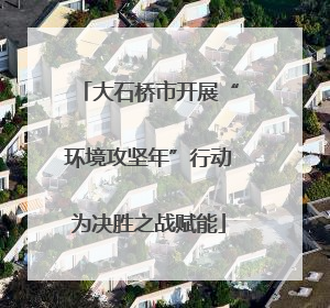 大石桥市开展“环境攻坚年”行动为决胜之战赋能