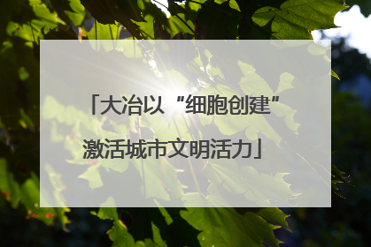 大冶以“细胞创建”激活城市文明活力