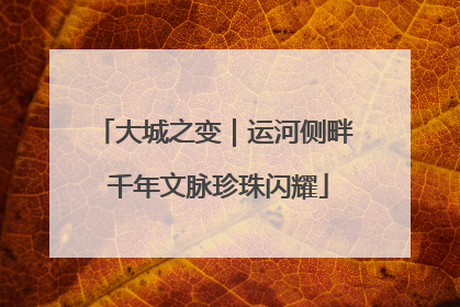 大城之变｜运河侧畔 千年文脉珍珠闪耀