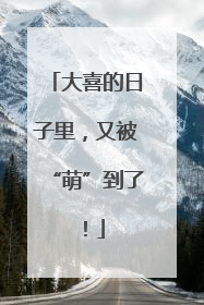 大喜的日子里，又被“萌”到了！