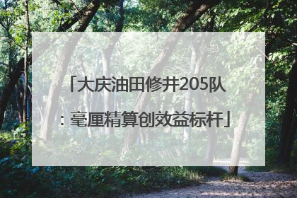 大庆油田修井205队：毫厘精算创效益标杆