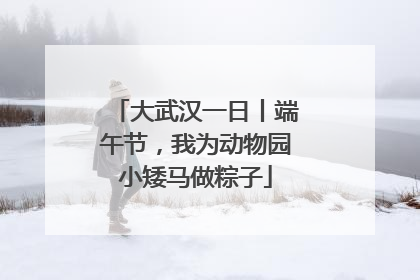 大武汉一日丨端午节，我为动物园小矮马做粽子