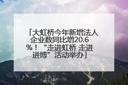 大虹桥今年新增法人企业数同比增20.6%！“走进虹桥 走进进博”活动举办