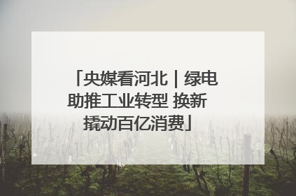 央媒看河北｜绿电助推工业转型 换新撬动百亿消费