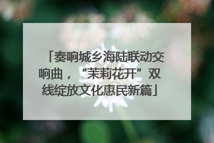 奏响城乡海陆联动交响曲，“茉莉花开”双线绽放文化惠民新篇