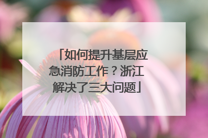 如何提升基层应急消防工作？浙江解决了三大问题