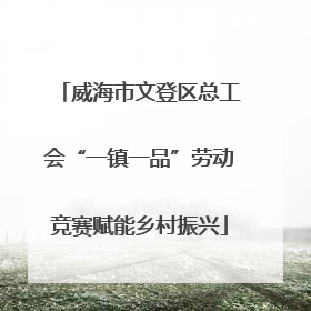 威海市文登区总工会“一镇一品”劳动竞赛赋能乡村振兴