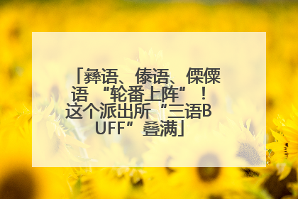 彝语、傣语、傈僳语 “轮番上阵”！这个派出所“三语BUFF”叠满