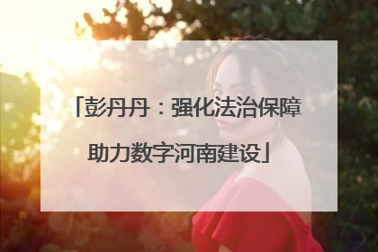 彭丹丹：强化法治保障 助力数字河南建设
