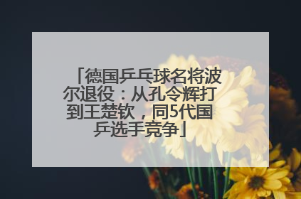 德国乒乓球名将波尔退役：从孔令辉打到王楚钦，同5代国乒选手竞争