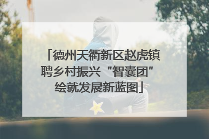 德州天衢新区赵虎镇聘乡村振兴“智囊团” 绘就发展新蓝图