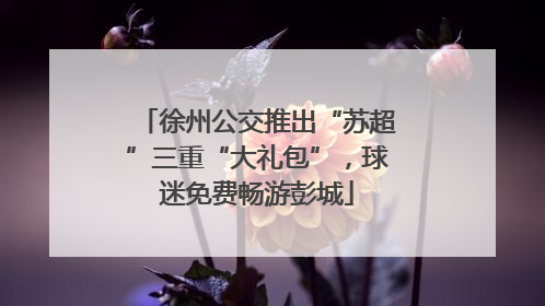 徐州公交推出“苏超”三重“大礼包”，球迷免费畅游彭城