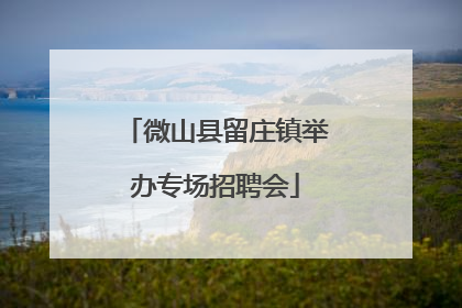微山县留庄镇举办专场招聘会