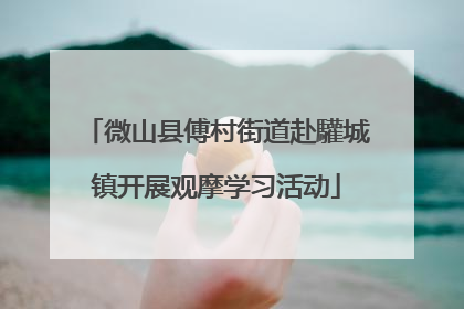微山县傅村街道赴驩城镇开展观摩学习活动