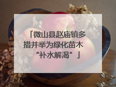 微山县赵庙镇多措并举为绿化苗木“补水解渴”
