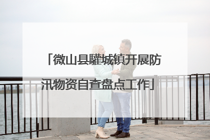 微山县驩城镇开展防汛物资自查盘点工作