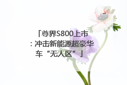 尊界S800上市：冲击新能源超豪华车“无人区”