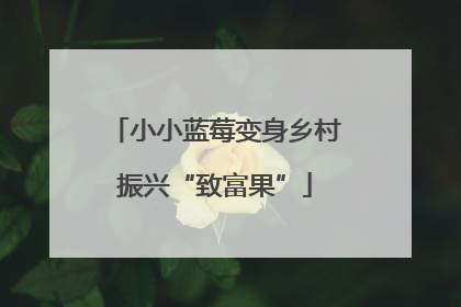 小小蓝莓变身乡村振兴“致富果”