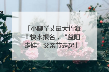 小脚丫丈量大竹海！快来报名，“益阳走娃”父亲节走起