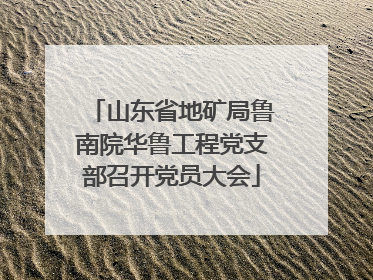 山东省地矿局鲁南院华鲁工程党支部召开党员大会