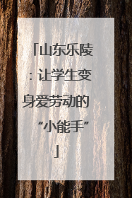山东乐陵：让学生变身爱劳动的“小能手”