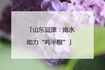山东夏津：南水助力“吨半粮”