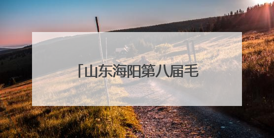 山东海阳第八届毛衫艺术展暨“海阳印象”嘉年华启幕