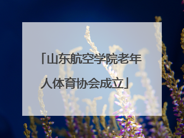 山东航空学院老年人体育协会成立