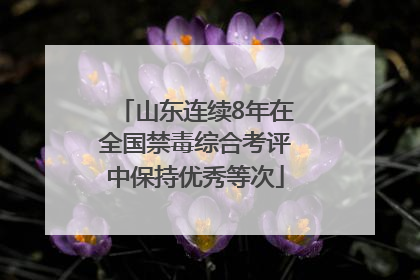 山东连续8年在全国禁毒综合考评中保持优秀等次