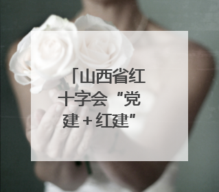 山西省红十字会“党建＋红建”谱新篇