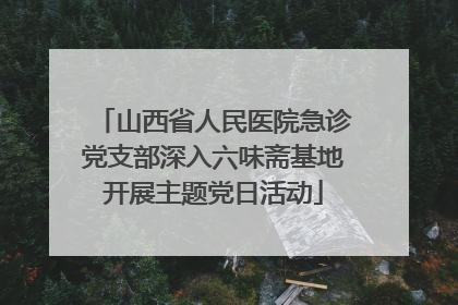 山西省人民医院急诊党支部深入六味斋基地开展主题党日活动