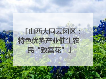 山西大同云冈区：特色优势产业催生农民“致富花”