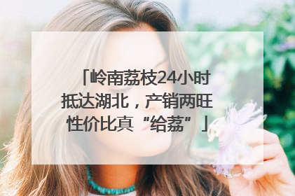 岭南荔枝24小时抵达湖北，产销两旺性价比真“给荔”
