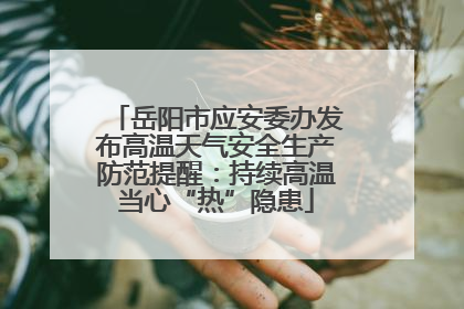 岳阳市应安委办发布高温天气安全生产防范提醒：持续高温当心“热”隐患