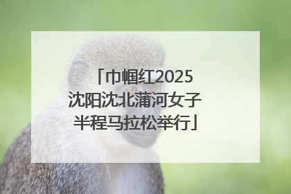 巾帼红2025沈阳沈北蒲河女子半程马拉松举行